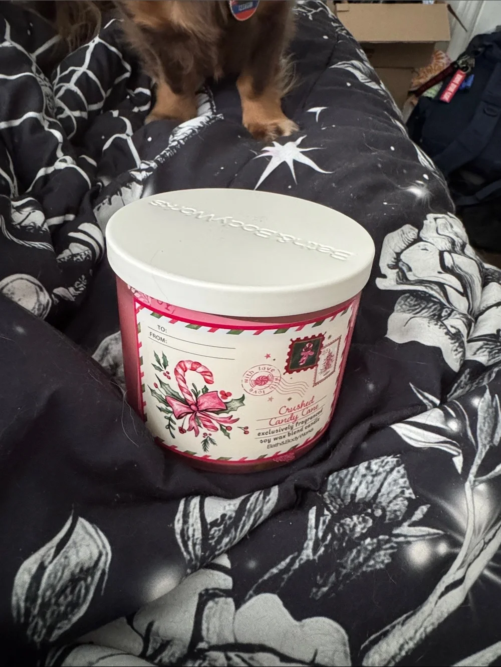 Crushed Candy Cane Scented Candle